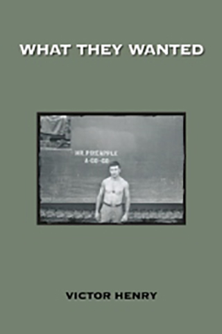 Cover of What They Wanted