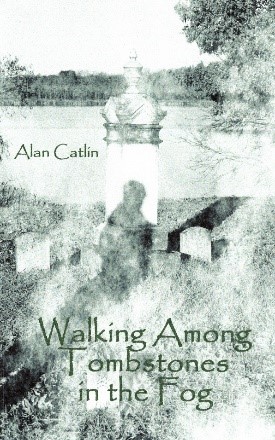 Cover of Walking Among Tombstones in the Fog