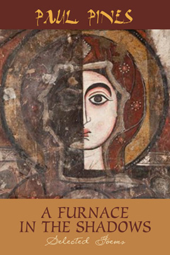 Cover of A Furnace in the Shadows